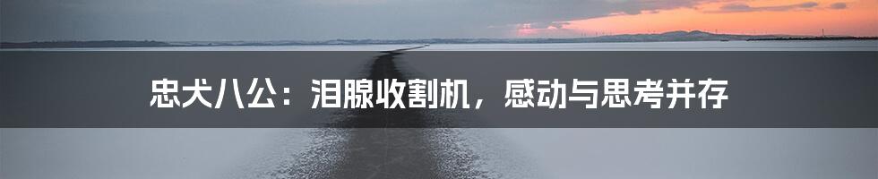 忠犬八公：泪腺收割机，感动与思考并存