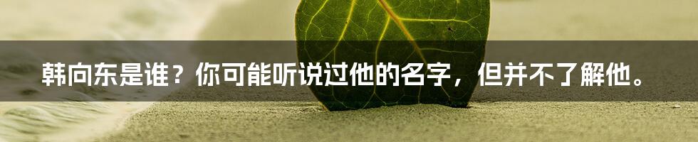 韩向东是谁？你可能听说过他的名字，但并不了解他。