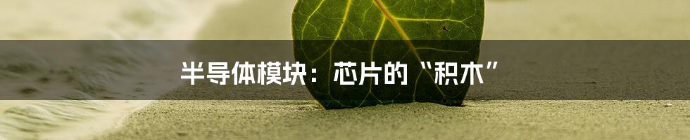 半导体模块：芯片的“积木”