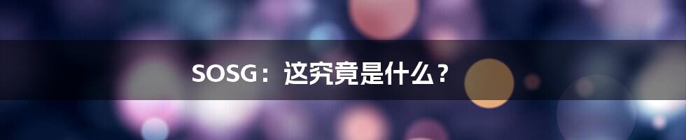 SOSG：这究竟是什么？