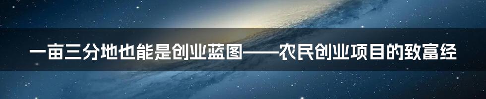 一亩三分地也能是创业蓝图——农民创业项目的致富经