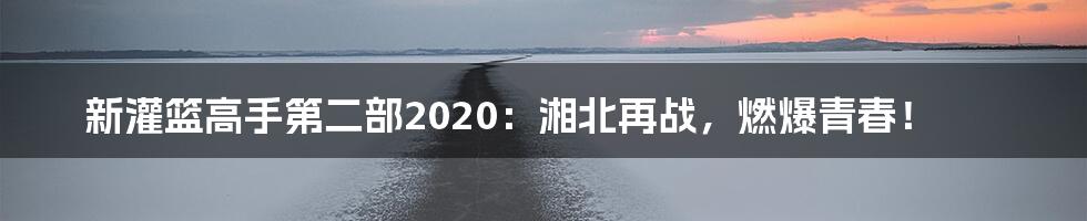 新灌篮高手第二部2020：湘北再战，燃爆青春！