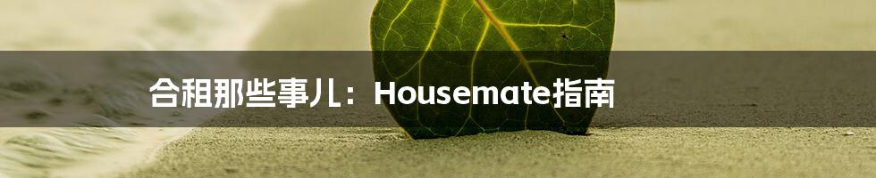 合租那些事儿：Housemate指南