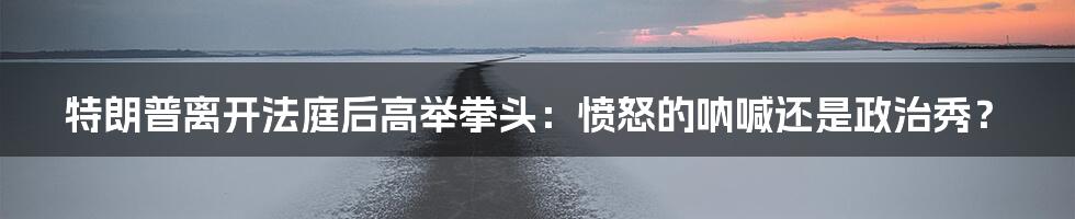 特朗普离开法庭后高举拳头：愤怒的呐喊还是政治秀？