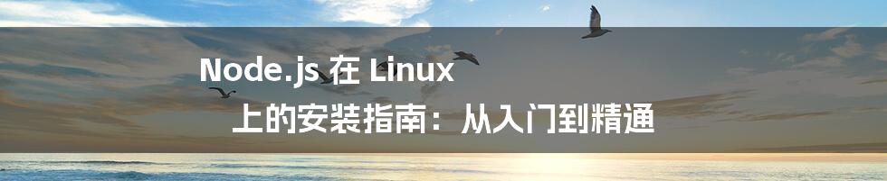 Node.js 在 Linux 上的安装指南：从入门到精通