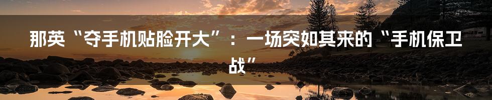 那英“夺手机贴脸开大”：一场突如其来的“手机保卫战”