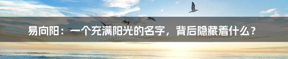 易向阳：一个充满阳光的名字，背后隐藏着什么？