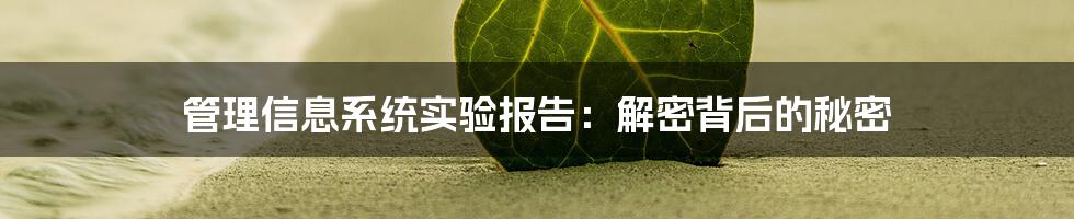 管理信息系统实验报告：解密背后的秘密