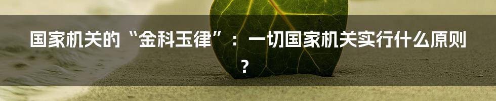 国家机关的“金科玉律”：一切国家机关实行什么原则？