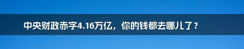 中央财政赤字4.16万亿，你的钱都去哪儿了？