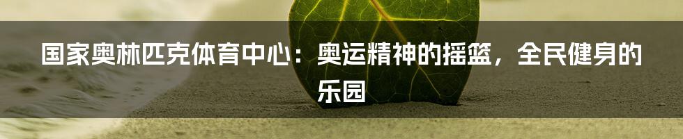 国家奥林匹克体育中心：奥运精神的摇篮，全民健身的乐园