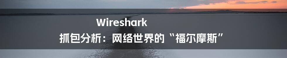 Wireshark 抓包分析：网络世界的“福尔摩斯”