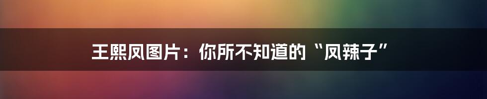 王熙凤图片：你所不知道的“凤辣子”