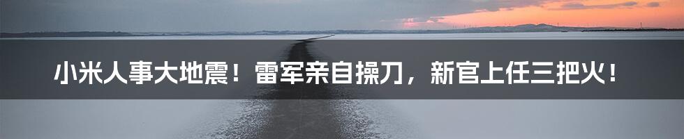 小米人事大地震！雷军亲自操刀，新官上任三把火！