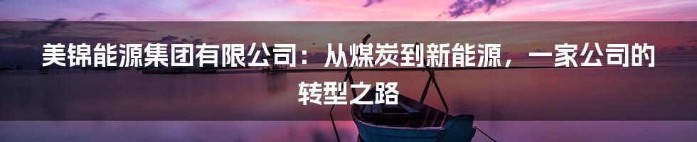 美锦能源集团有限公司：从煤炭到新能源，一家公司的转型之路