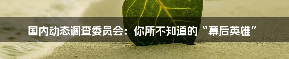 国内动态调查委员会：你所不知道的“幕后英雄”