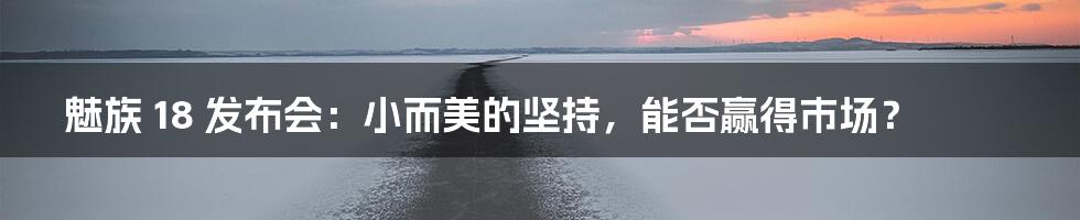 魅族 18 发布会：小而美的坚持，能否赢得市场？