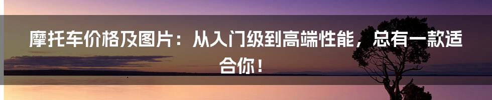 摩托车价格及图片：从入门级到高端性能，总有一款适合你！