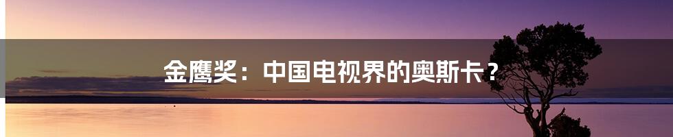 金鹰奖：中国电视界的奥斯卡？