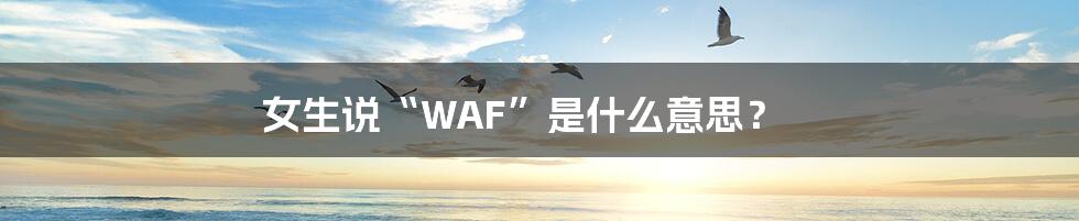 女生说“WAF”是什么意思？