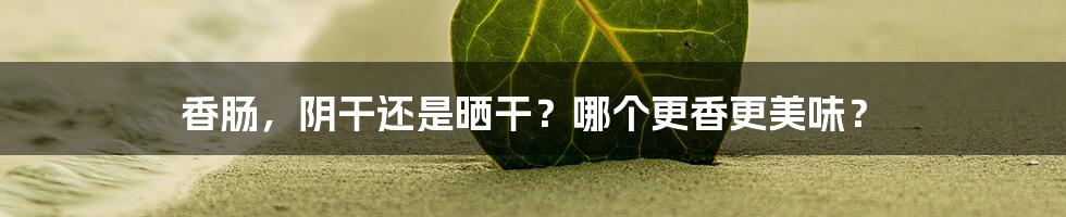 香肠，阴干还是晒干？哪个更香更美味？