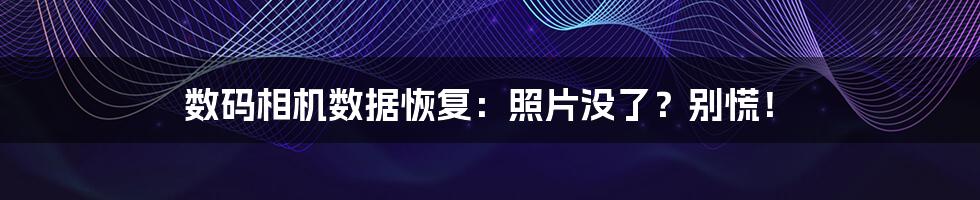 数码相机数据恢复：照片没了？别慌！