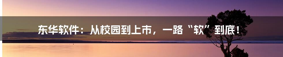 东华软件：从校园到上市，一路“软”到底！