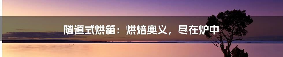 隧道式烘箱：烘焙奥义，尽在炉中