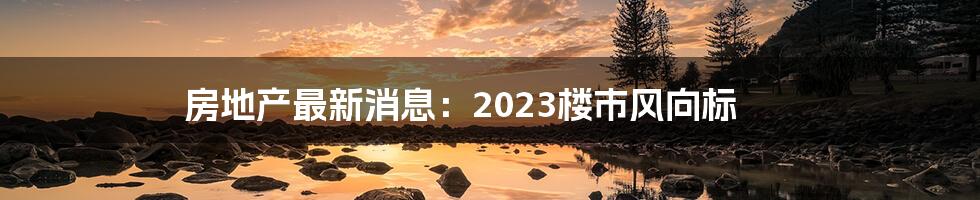 房地产最新消息：2023楼市风向标