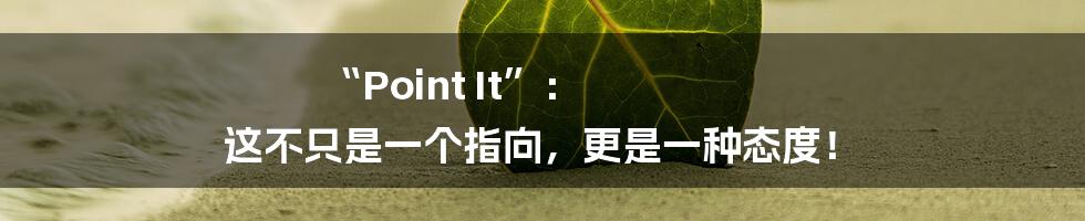 “Point It”： 这不只是一个指向，更是一种态度！