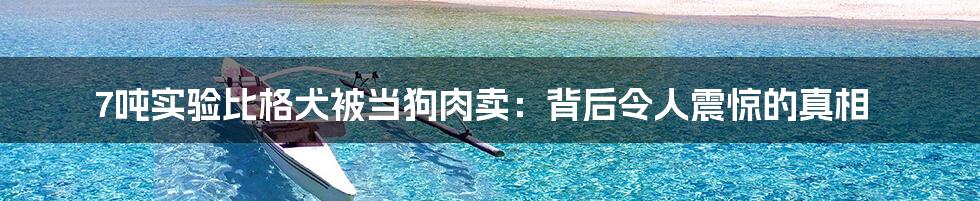 7吨实验比格犬被当狗肉卖：背后令人震惊的真相