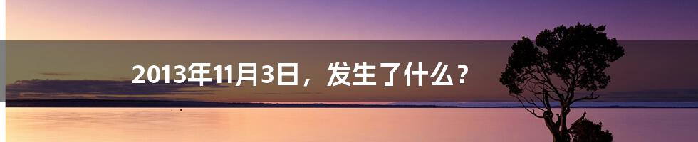 2013年11月3日，发生了什么？