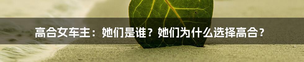 高合女车主：她们是谁？她们为什么选择高合？