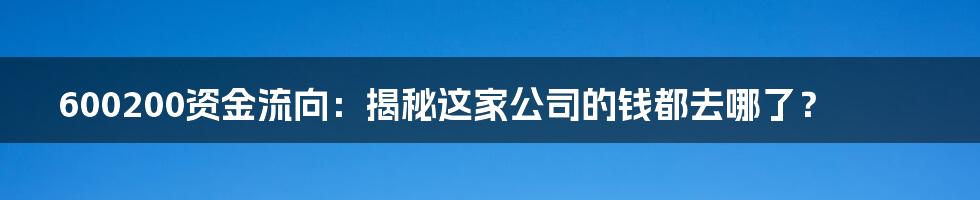 600200资金流向：揭秘这家公司的钱都去哪了？