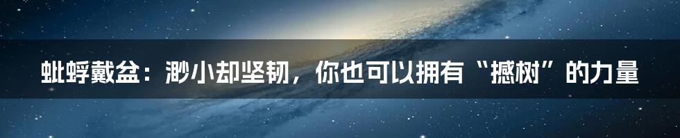 蚍蜉戴盆：渺小却坚韧，你也可以拥有“撼树”的力量