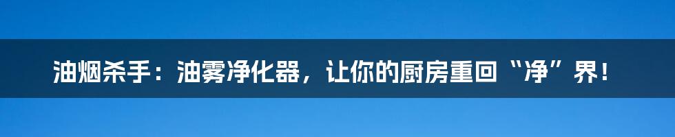 油烟杀手：油雾净化器，让你的厨房重回“净”界！