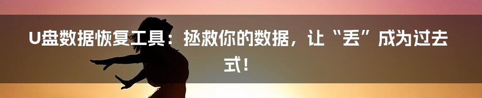 U盘数据恢复工具：拯救你的数据，让“丢”成为过去式！