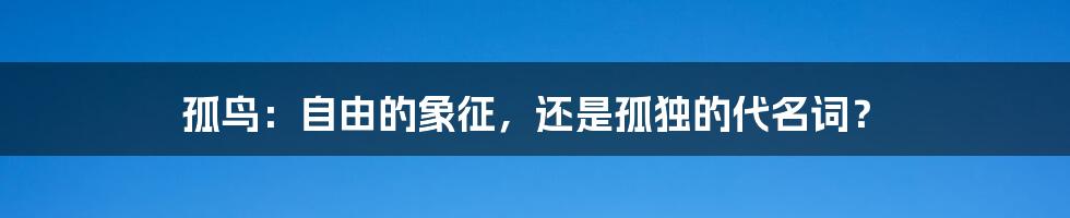 孤鸟：自由的象征，还是孤独的代名词？