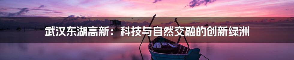 武汉东湖高新：科技与自然交融的创新绿洲