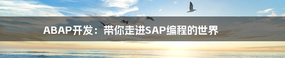 ABAP开发：带你走进SAP编程的世界