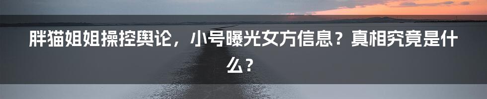 胖猫姐姐操控舆论，小号曝光女方信息？真相究竟是什么？