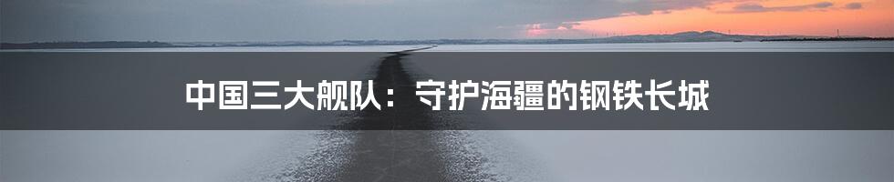 中国三大舰队：守护海疆的钢铁长城