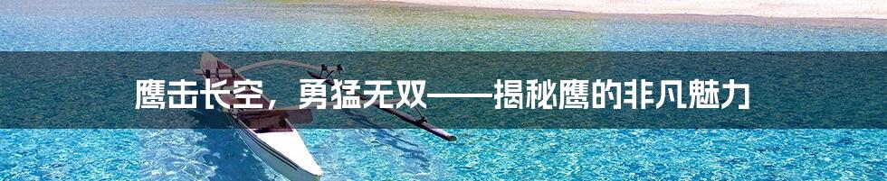 鹰击长空，勇猛无双——揭秘鹰的非凡魅力