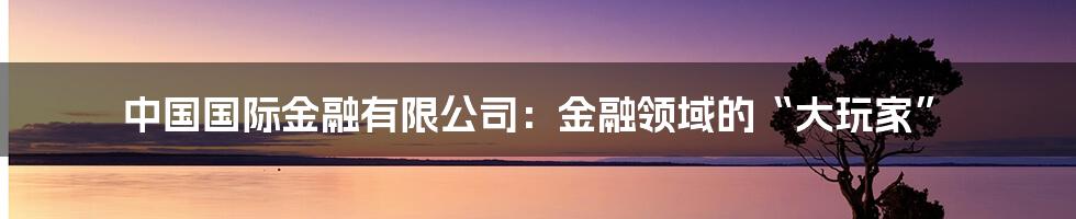 中国国际金融有限公司：金融领域的“大玩家”