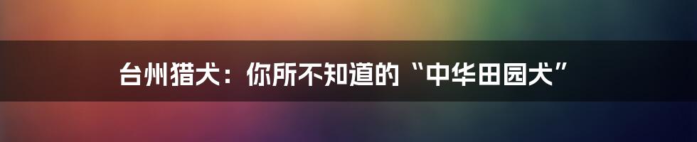 台州猎犬：你所不知道的“中华田园犬”