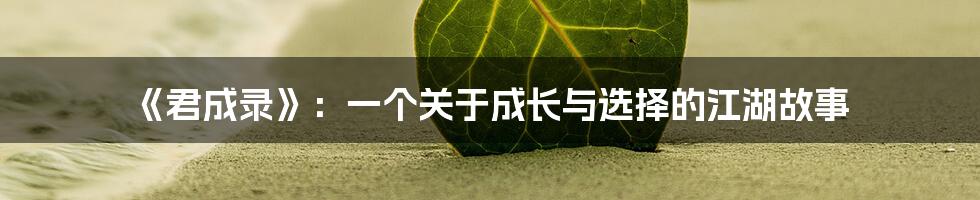 《君成录》：一个关于成长与选择的江湖故事