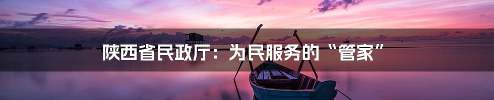 陕西省民政厅：为民服务的“管家”