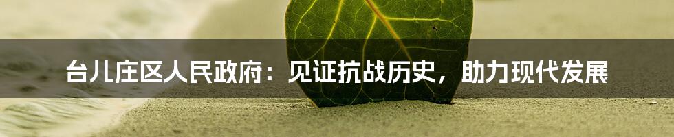 台儿庄区人民政府：见证抗战历史，助力现代发展