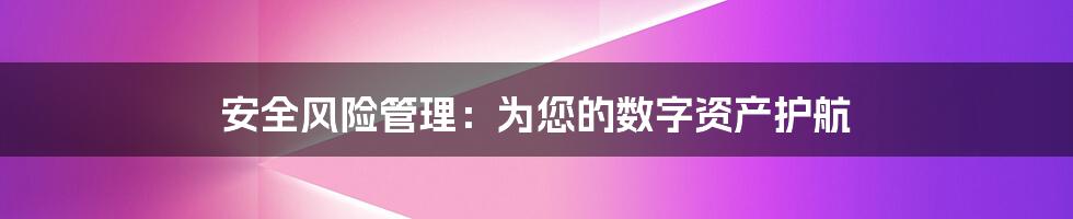 安全风险管理：为您的数字资产护航