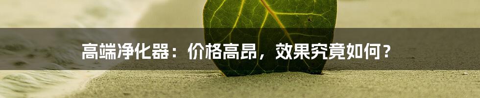 高端净化器：价格高昂，效果究竟如何？